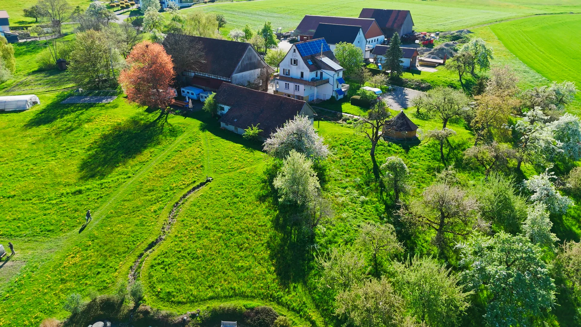 Der Homa-Hof Heiligenberg – Luftaufnahme Frühjahr